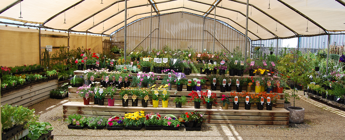 Goolwa Garden Centre wide range of plants and garden supplies